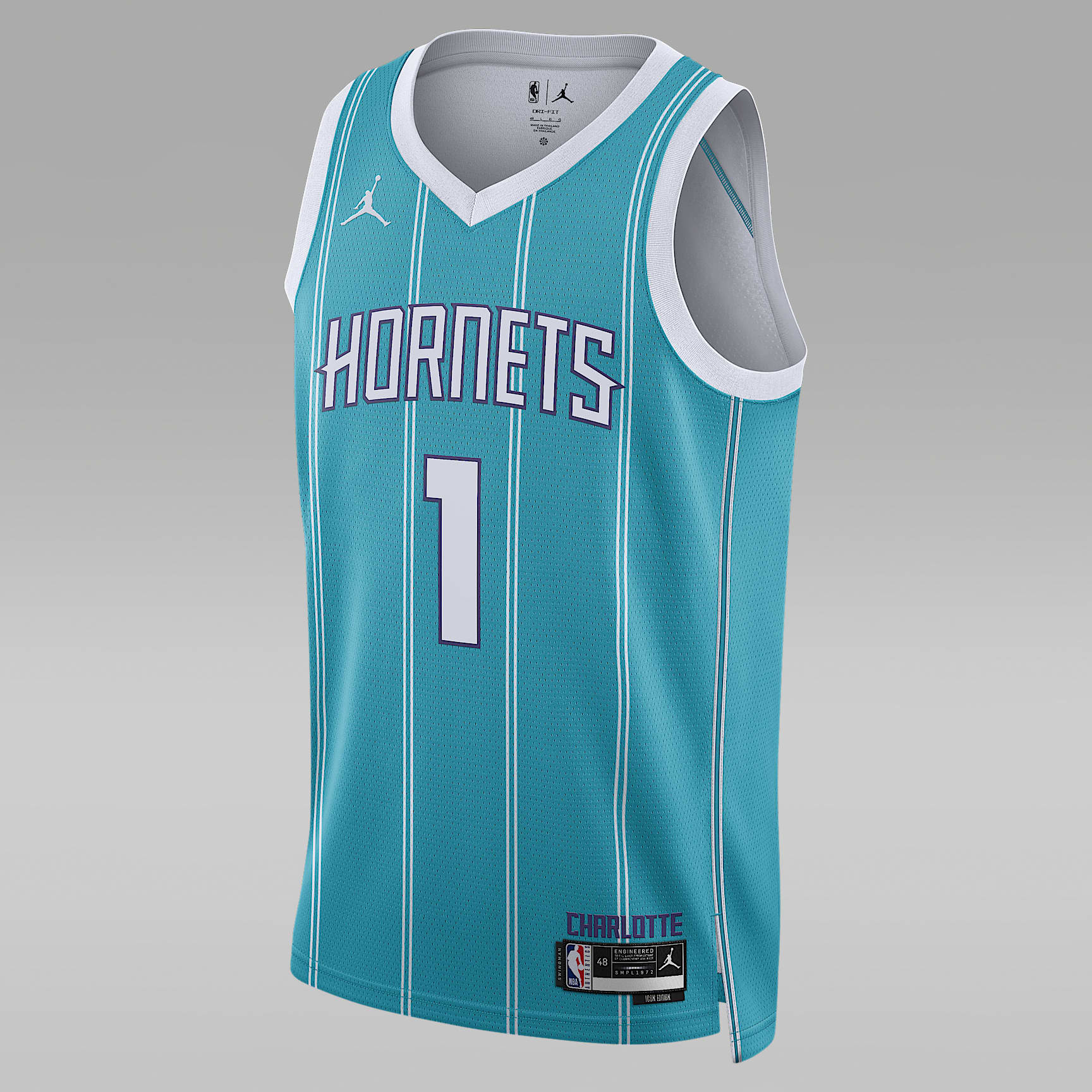 Charlotte Hornets Icon Edition Men's Jordan Dri-FIT NBA Swingman